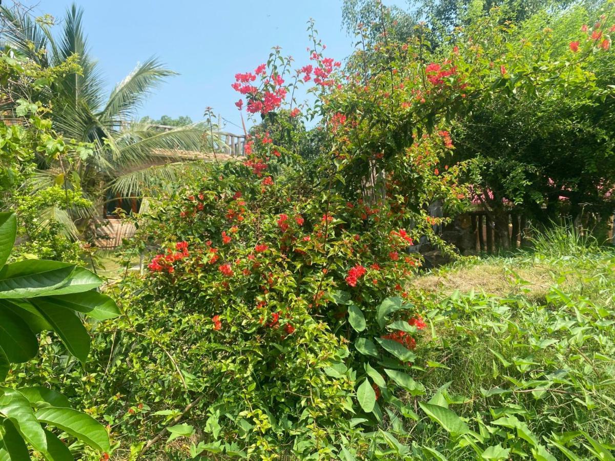 Villa Nam Cat Tien Shack Long House Exterior foto